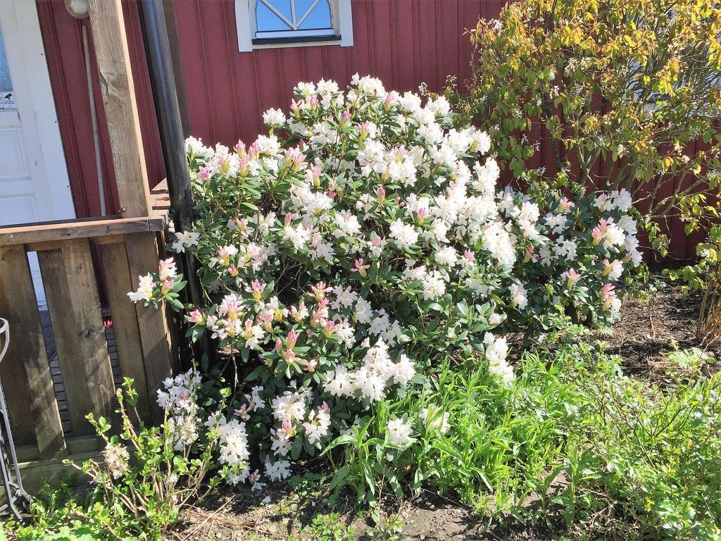 Mattisgarden Bed & Breakfast Ostra Ljungby Exterior photo
